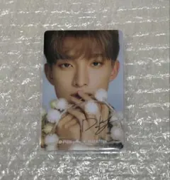 2025年最新】DFESTA 寺田倉庫 seventeenの人気アイテム - メルカリ