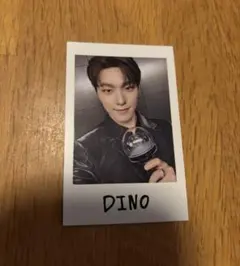 SEVENTEEN RIGHT HERE インスタントフォト ディノ