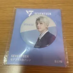 2026年最新】seventeen ウォヌ 缶バッジの人気アイテム - メルカリ