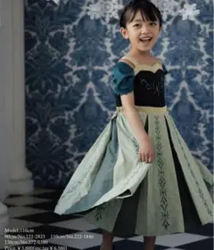 バースデイ　ディズニー　プリンセス　cottoli アナと雪の女王　アナ