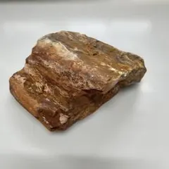 レアカラー ペトリファイドウッド スライス ジオードあり 410g - メルカリ