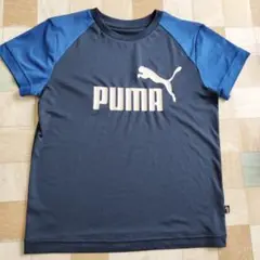 PUMA ネイビー Tシャツ　140cm程度