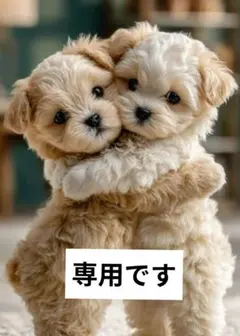 専用ページです