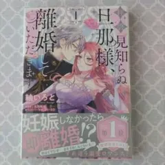 拝啓見知らぬ旦那様、離婚していただきます！ 1巻…漫画