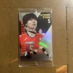 男子バレー　日本代表　ツインウエハース　カード　大塚達宣