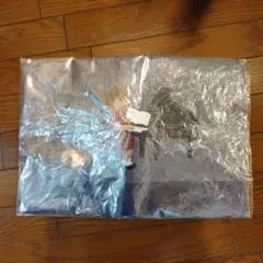 Item thumbnail for item d9e955c6-e0a8-48d7-9e60-b95f2fe0e16c