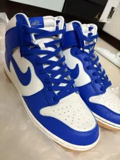 Nike Dunk High 青白