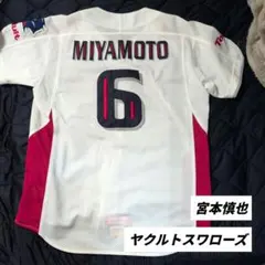 元ヤクルトスワローズ 宮本慎也選手 引退記念グローブ - メルカリ