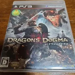 PS3 ドラゴンズドグマ ソフト