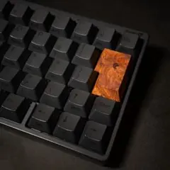 HHKB REALFORCE JIS Enter 花梨瘤