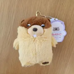 ムクムクむっくんにんきものLMC ウドン⭐