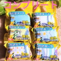 ポケモン　ペットボトルカバー　Pokémon Summer Fun✨　伊藤園のサムネイル
