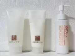 Item thumbnail for item 590517fd-ffba-49a0-93a9-3f13c9e0070f