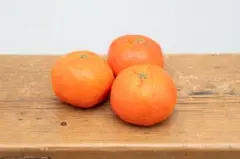 Item thumbnail for item 5e1dd478-df8b-4a91-8073-1fb8db8435a4