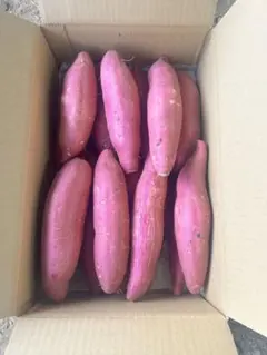 あまはづき　さつまいも　Ｌサイズ　5kg