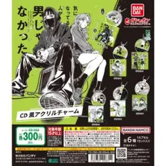 2026年最新】気になってる人が男じゃなかった cdの人気アイテム - メルカリ