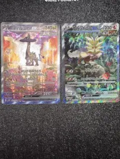 タケルライコex sarウガツホムラex sar