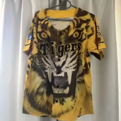 阪神タイガース ウル虎の夏