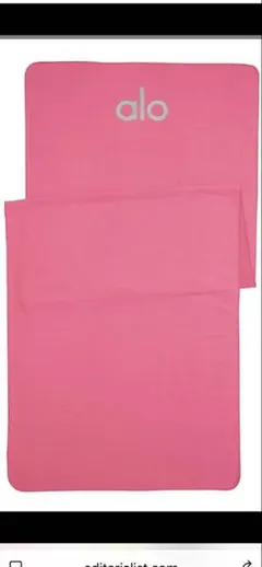 2026年最新】ALO YOGA ヨガマットの人気アイテム - メルカリ