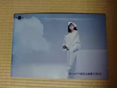 薬師丸ひろ子　レトロ　希少品　資生堂　ポーセリア　販売企画書　非売品　冊子 当時物 薬師丸ひろ子 資生堂 ポーセリア発売企画書 非売品 13ほy