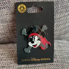 【2個セット】ディズニーピンバッチ　パイレーツ　トイストーリー