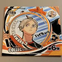 菅原孝支 ハイキュー 缶バッジ コレクション