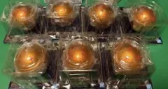 ドラゴンボール スナップコレクション2 ドラゴンボールストラップ