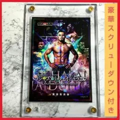 2026年最新】ラジャブアリ・シェイドゥラエフの人気アイテム - メルカリ
