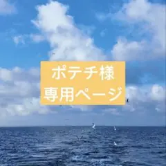 ポテチ様小物専用ページ