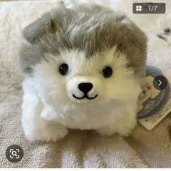 タグ付き♪ ころりんわんこ【モフまる】ぬいぐるみ マスコットのサムネイル
