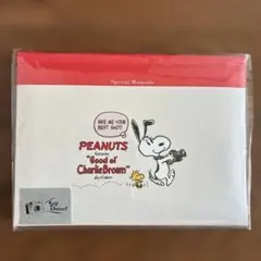 PEANUTS スヌーピー ポップアップアルバムのサムネイル