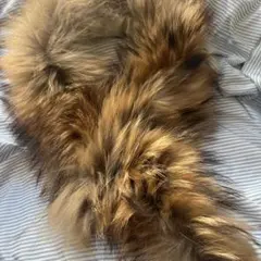 Item thumbnail for item a844bb37-92c0-4e60-996b-c1739b042822