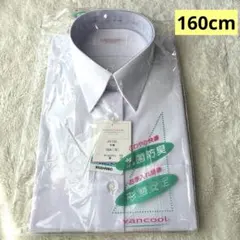 Item thumbnail for item 4bdbcef1-e990-4306-b3c1-1a9835cd25b7