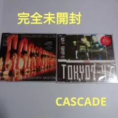 【完全未開封】CASCADE　CD　2枚セット