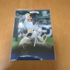 Item thumbnail for item ab6d929c-d3e1-40df-bef5-be95f1e252a7