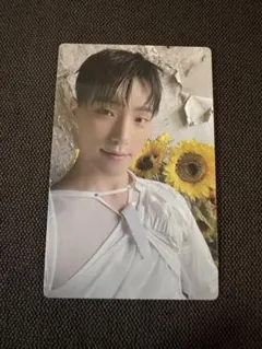 ディノ トレカ セブチ メンバーシップ