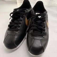 Item thumbnail for item 0f543103-248a-4af0-b726-fc2967ab91d9