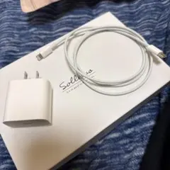 iPhone 正規品　充電器タイプCライトニングケーブル 純正品 Appl