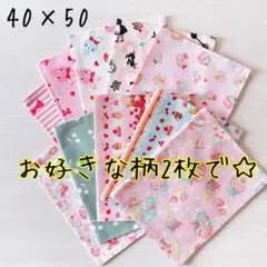 【ハンドメイド】給食ナフキンお好きな2枚セット　女の子　ランチョンマット