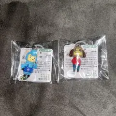 未使用　あつまれどうぶつの森 めじるしチャーム　ケント　カイゾー