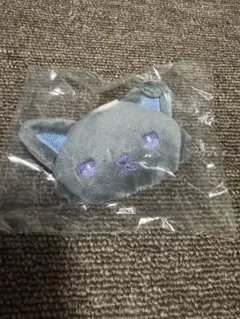 ジェオチャム シークレットブローチ ピーハイ