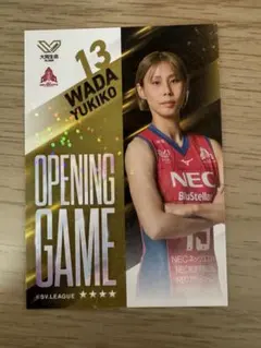 necレッドロケッツ スポーツ選手