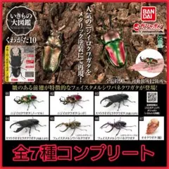 【新品】いきもの大図鑑 くわがた10 全7種コンプリート