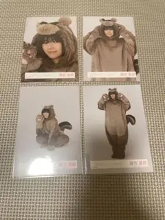 森田ひかる どうぶつ着ぐるみ 生写真 - メルカリ