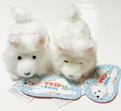 くったりサモエドくん　ねそべり　ぬいぐるみセット