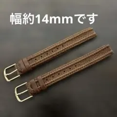 Item thumbnail for item 2bd91673-68b0-412a-a692-015deaabc8bc