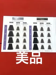 美品☆イルミナカラー ヘアカラーチャート ムーンライト ナイトスカイ ウエラのサムネイル
