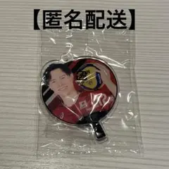 バレーボール スポーツ選手