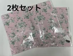 Item thumbnail for item 26e54ed4-5385-4546-9112-eafa85e2695f