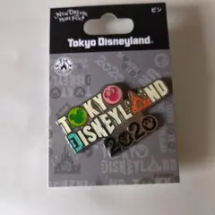 東京ディズニーランド 2020年記念ピンバッジ